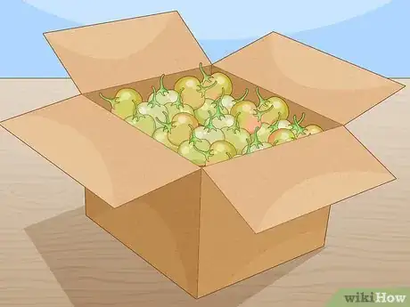 Image titled Ripen Green Tomatoes Step 7