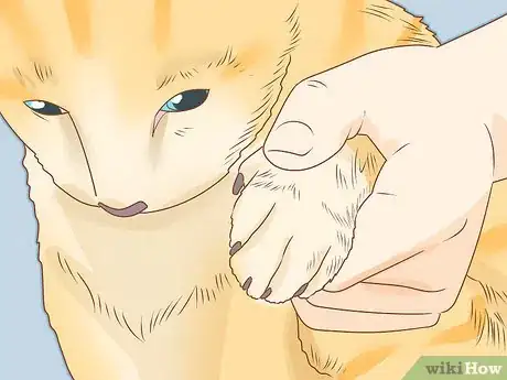 Image titled Trim Your Cat's Nails Step 12