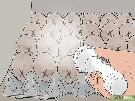 Image titled Hatch Turkey Eggs in an Incubator Step 9