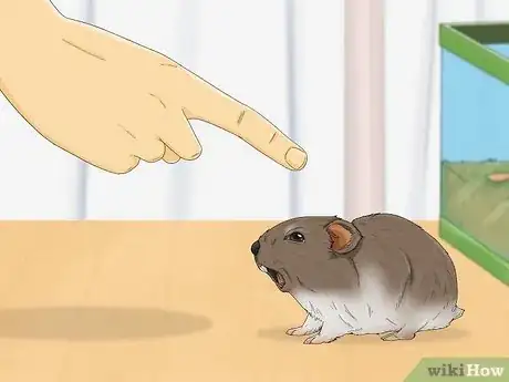 Image titled Tame Your Gerbils Step 14