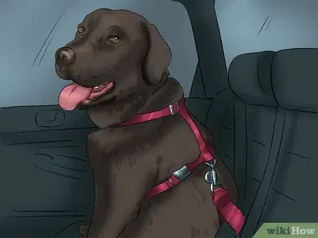 Image titled Make a Seatbelt for Your Dog Step 4