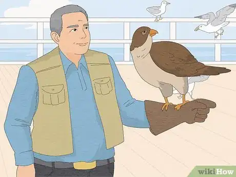 Image titled Deal with Aggressive Seagulls Step 14