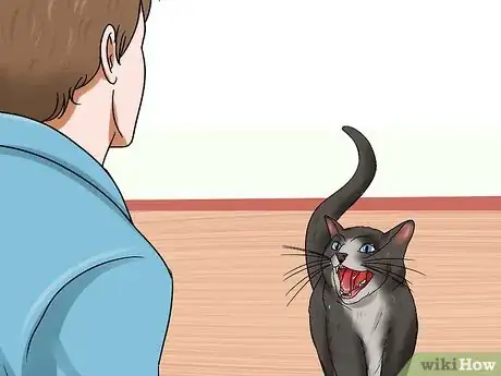 Image titled Know if a Cat Is Stressed Step 9