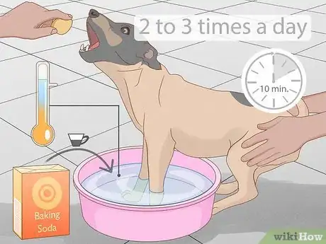 Image titled Stop a Dog from Licking Its Paws with Home Remedies Step 6