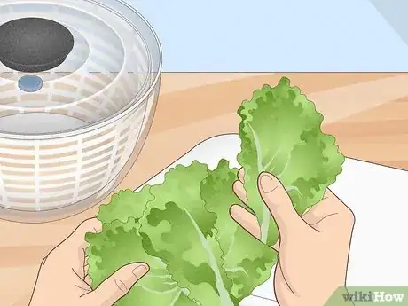 Image titled Use a Salad Spinner Step 1