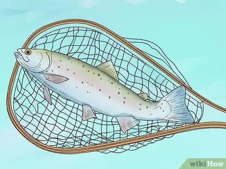 Image titled Catch Trout Step 17