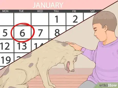 Image titled Give Away Your Dog when You Don't Want To Step 7