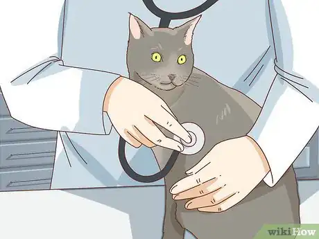 Image titled Tell if Your Cat Is Depressed Step 1