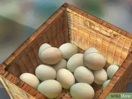 Image titled Eat Balut Step 1