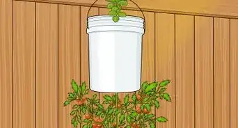 Make an Upside Down Tomato Planter