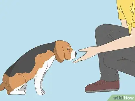 Image titled Prepare Your Dog for the Vet Step 1