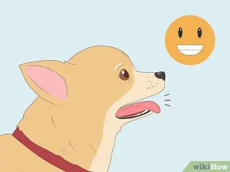 Image titled Make a Dog Laugh Step 2