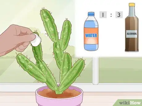 Image titled Get Rid of Cactus Bugs Step 4