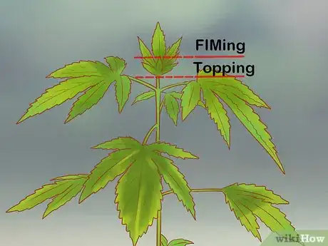 Image titled Trim Marijuana Step 14