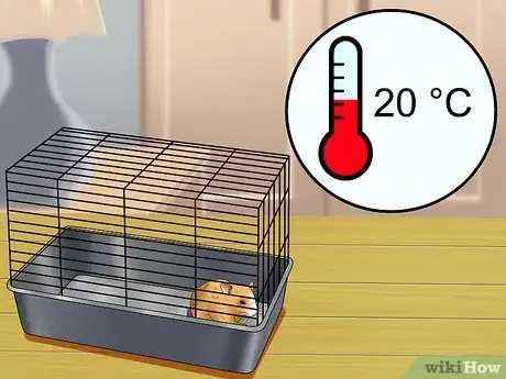 Image titled Cure Your Not Moving Hamster Step 9