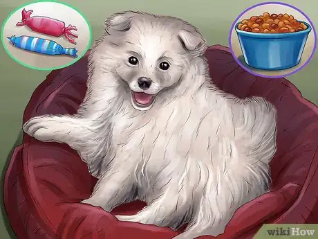 Image titled Care for an American Eskimo Puppy Step 1