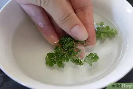 Image titled Air dry parsley Step 2