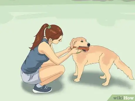 Image titled Teach Your Dog to Heel Step 10