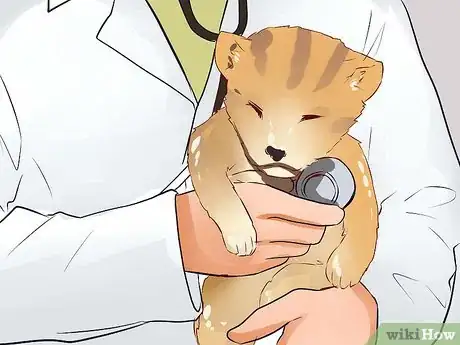 Image titled Put a Hyper Kitten to Sleep Step 15