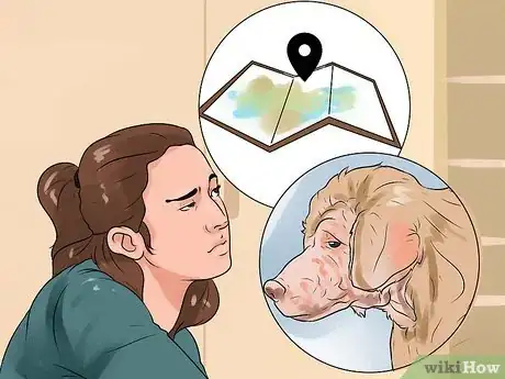 Image titled Identify Mange on Dogs Step 12