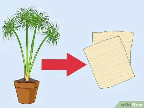 Image titled Make Papyrus Step 1