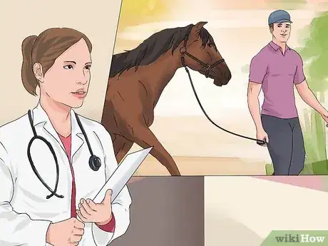 Image titled Recognize and Treat Colic in Horses Step 7