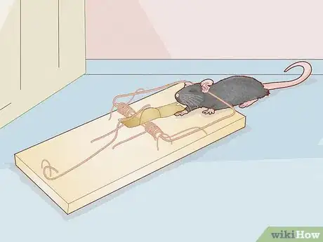 Image titled Get Rid of Mice and Rats Step 2