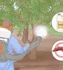 Grow Almonds