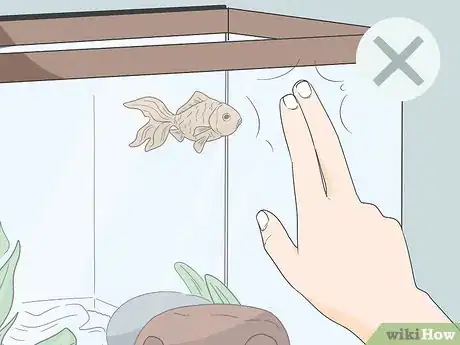 Image titled Enjoy Having Pet Fish Step 11