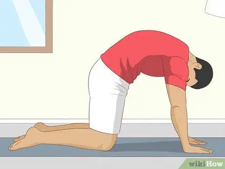 Image titled Stand Up if You Have Lower Back Pain Step 11