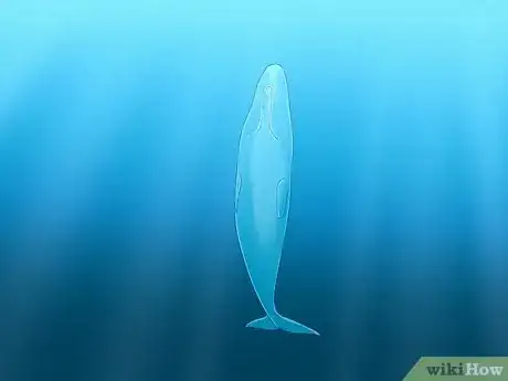 Image titled How Do Whales Sleep Step 1