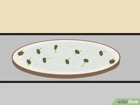 Image titled Plant Cannabis Seeds Indoors Step 7