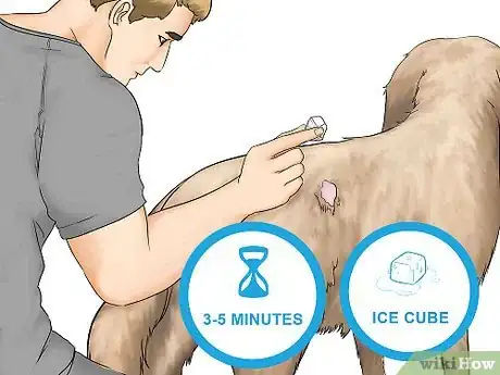 Image titled Remove Chewing Gum from a Dog's Hair Step 1