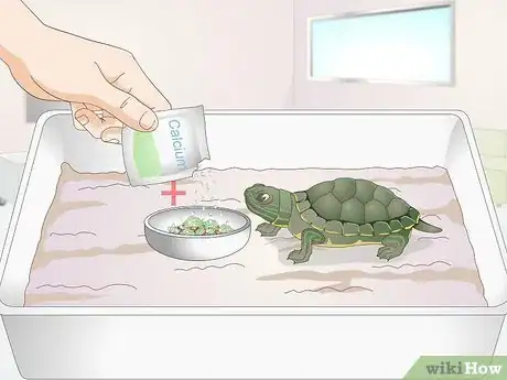 Image titled Feed a Baby Turtle Step 10