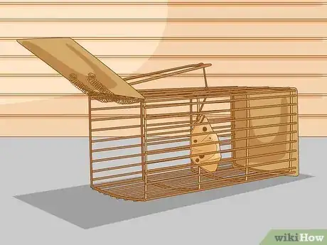 Image titled Get Rid of Rats Step 5