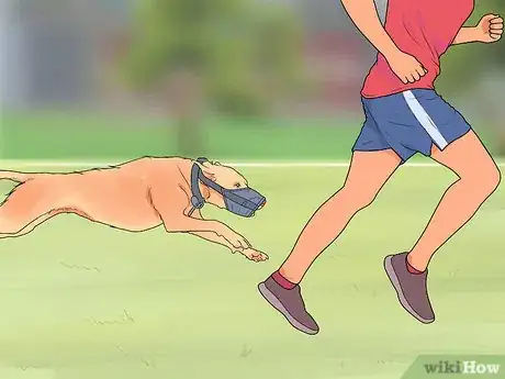 Image titled Muzzle Train a Dog Step 14