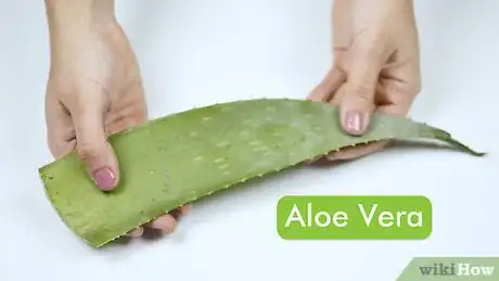 Image titled Make Hair Gel Using Aloe Vera Pulp Step 1