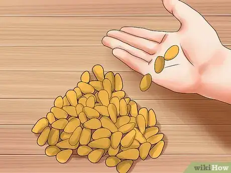 Image titled Shell Pine Nuts Step 1