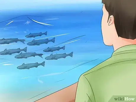 Image titled Catch Mullet Step 7