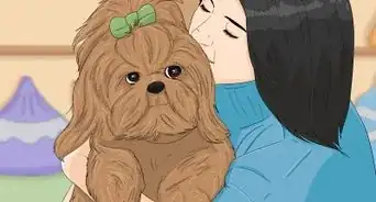 Take Care of a Shih Tzu