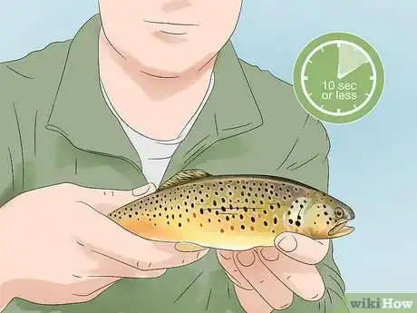 Image titled Fly Fish for Trout Step 21