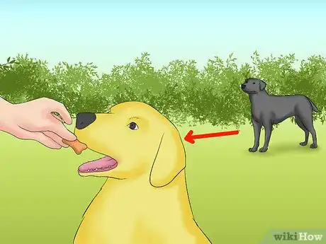 Image titled Handle an Approaching Dog Step 15