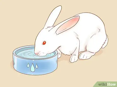 Image titled Feed Your Rabbit with Pellets Step 18