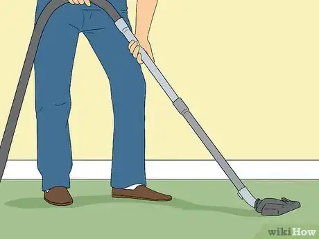 Image titled Do Pest Control With a Vacuum Cleaner Step 3