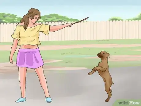 Image titled Stop a Boxer Dog from Biting Step 9