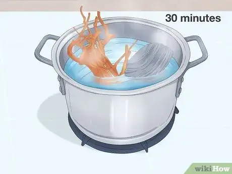 Image titled Give a Lizard a Bath Step 16