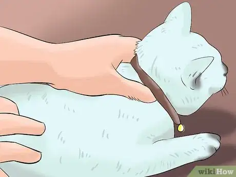 Image titled Introduce a New Cat to Other Cats Step 1