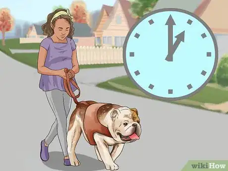 Image titled Train Bulldogs Step 10