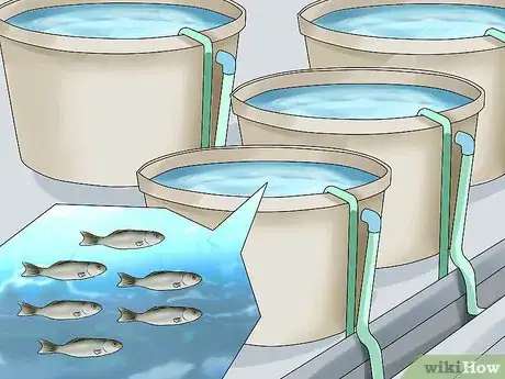 Image titled Start a Fish Hatchery Step 23