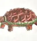 Draw a Turtle